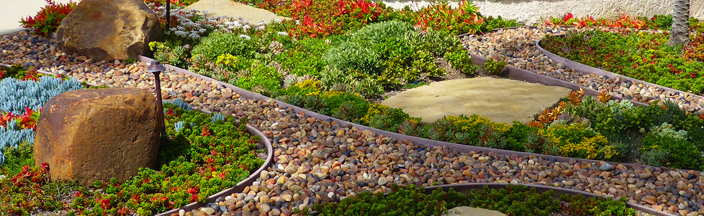 dought tolerant landscaping Palos Verdes Peninsula