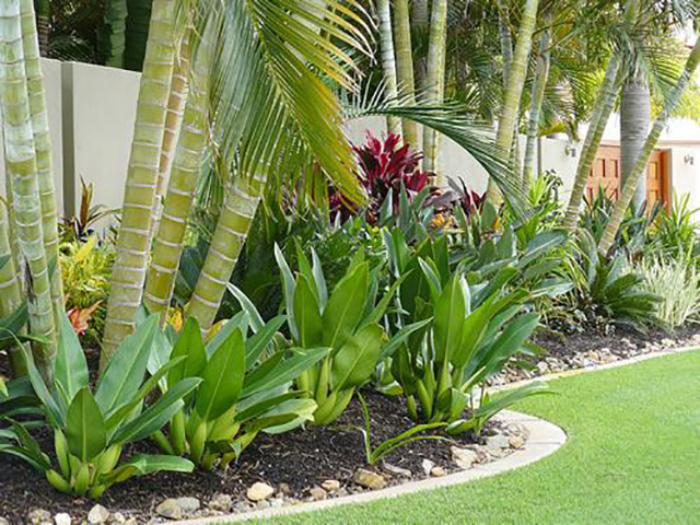 dought tolerant landscaping San Pedro CA