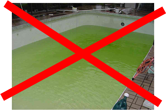 demolition and removal of built-in swimming pools