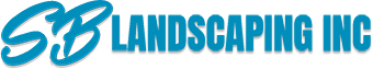 logo area
